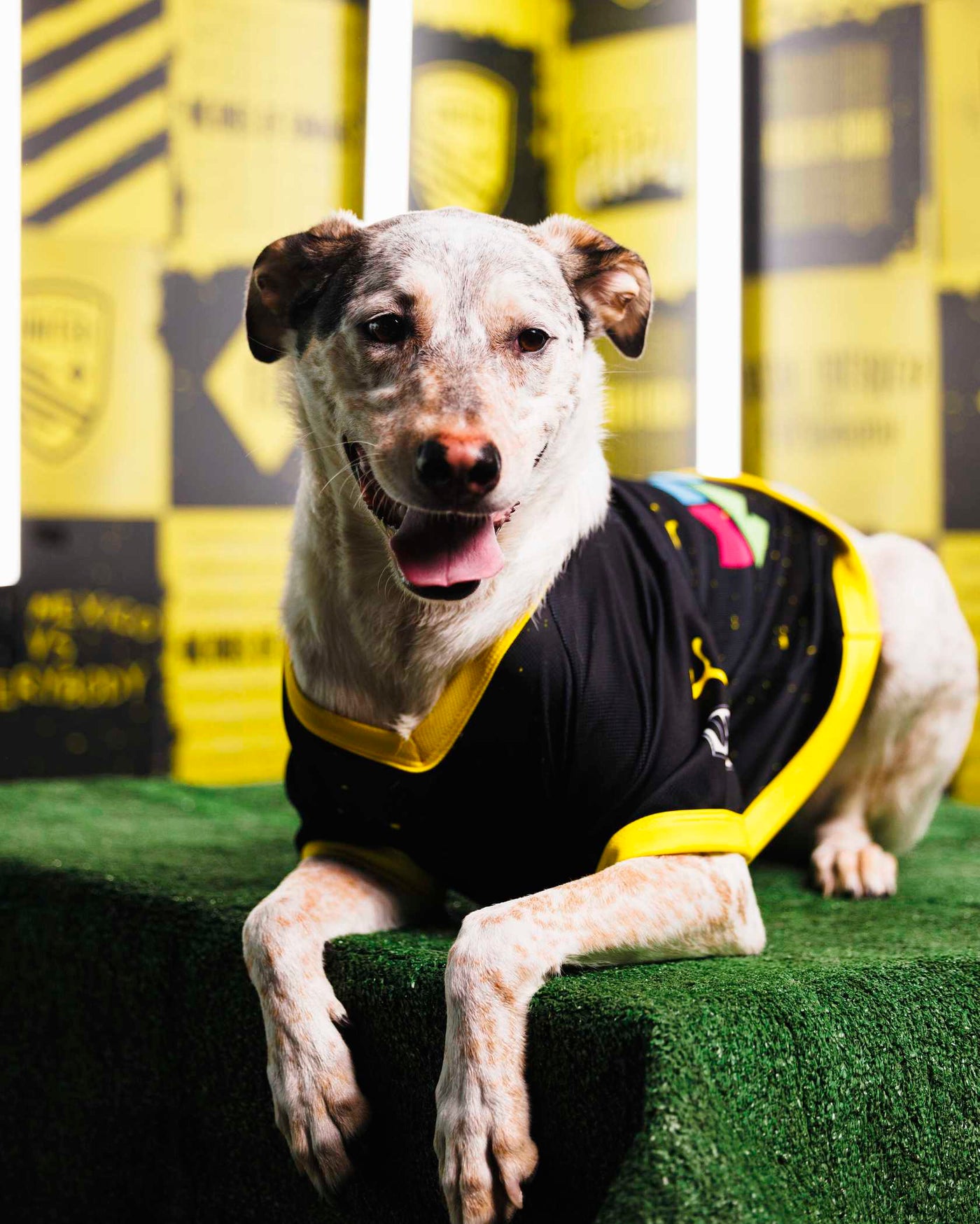 United Home Dog Jersey