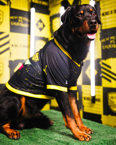 United Home Dog Jersey