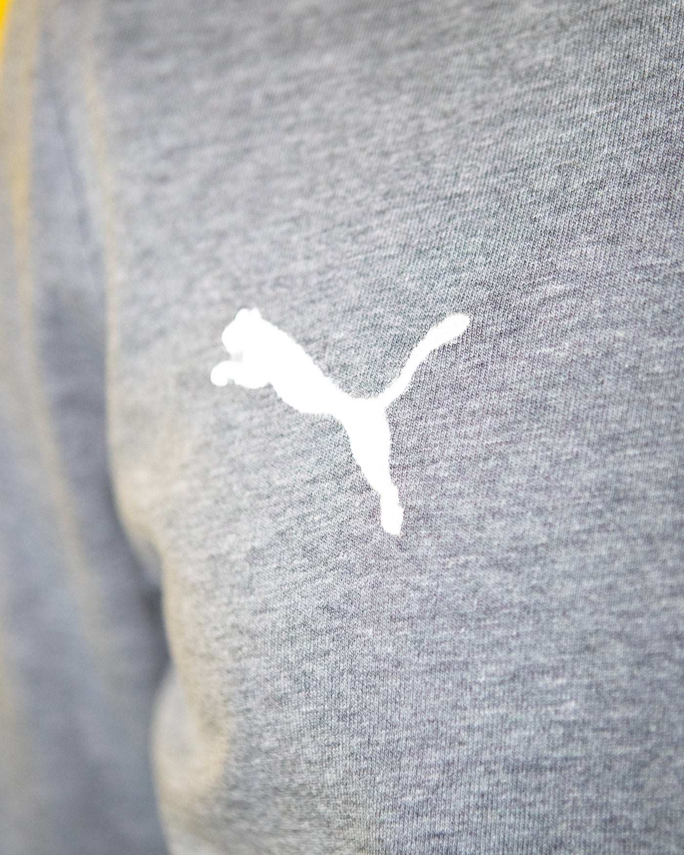 Gray Puma United Hoodie