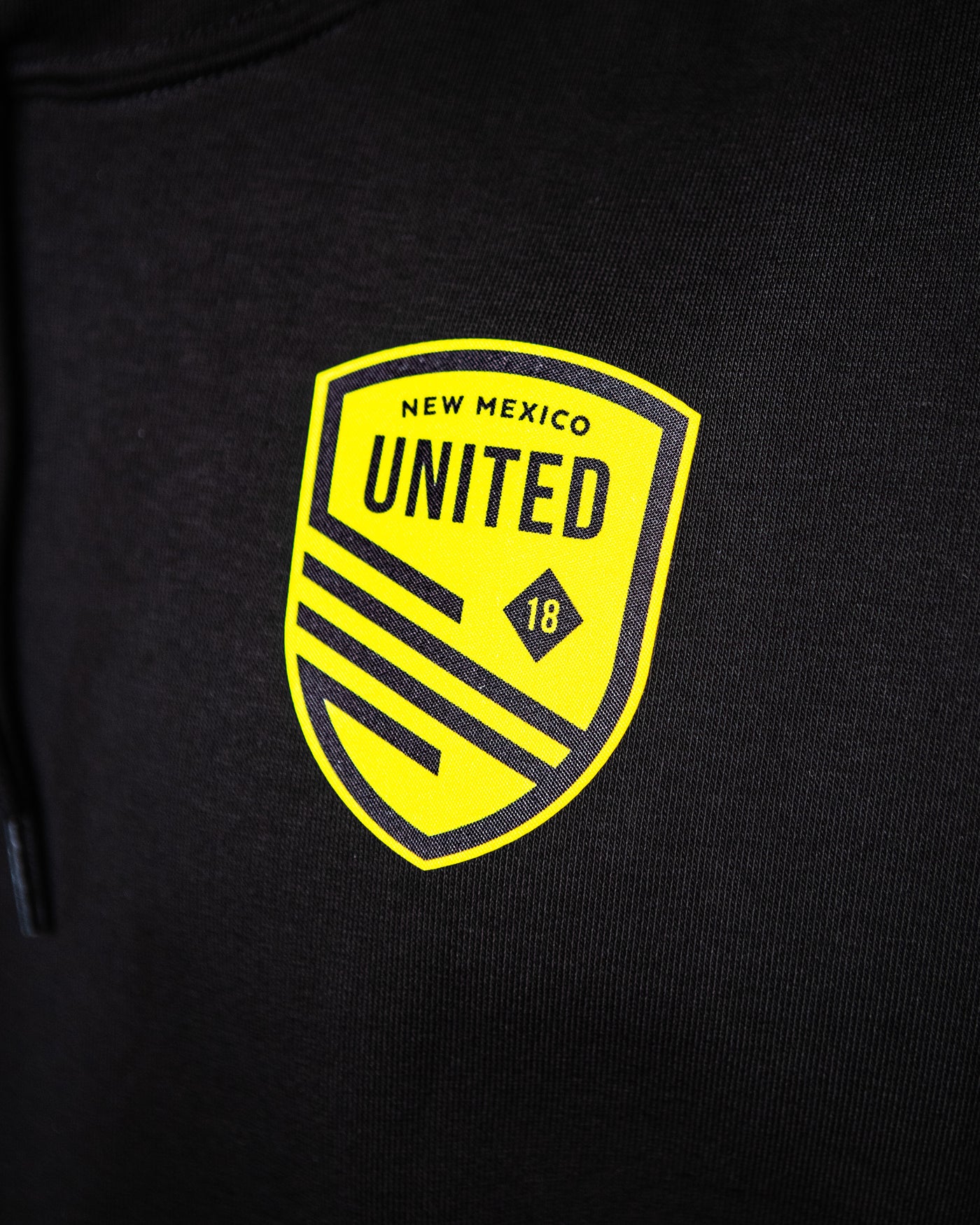 Black Puma United Hoodie