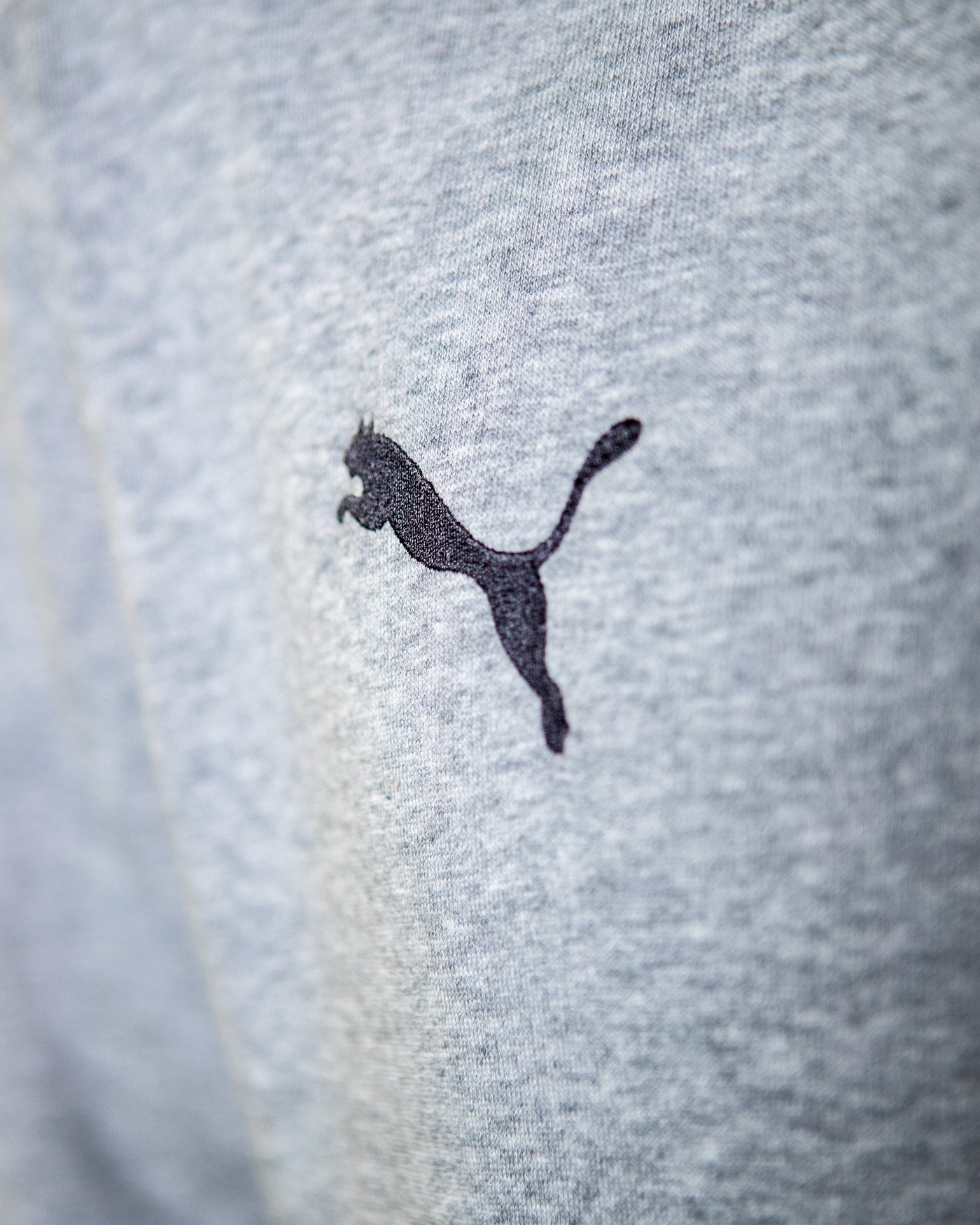 Gray Puma United Hoodie (Turquoise Shield)