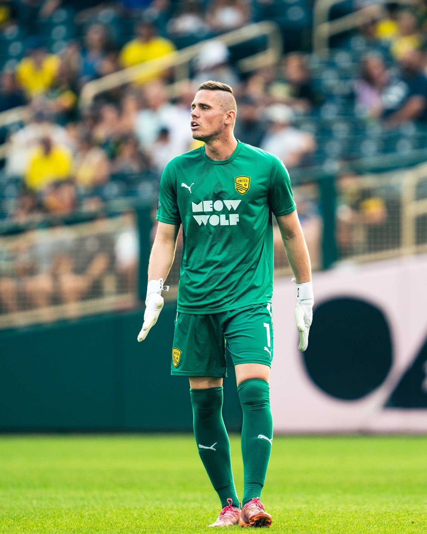 Meow Wolf Goalkeeper Jersey