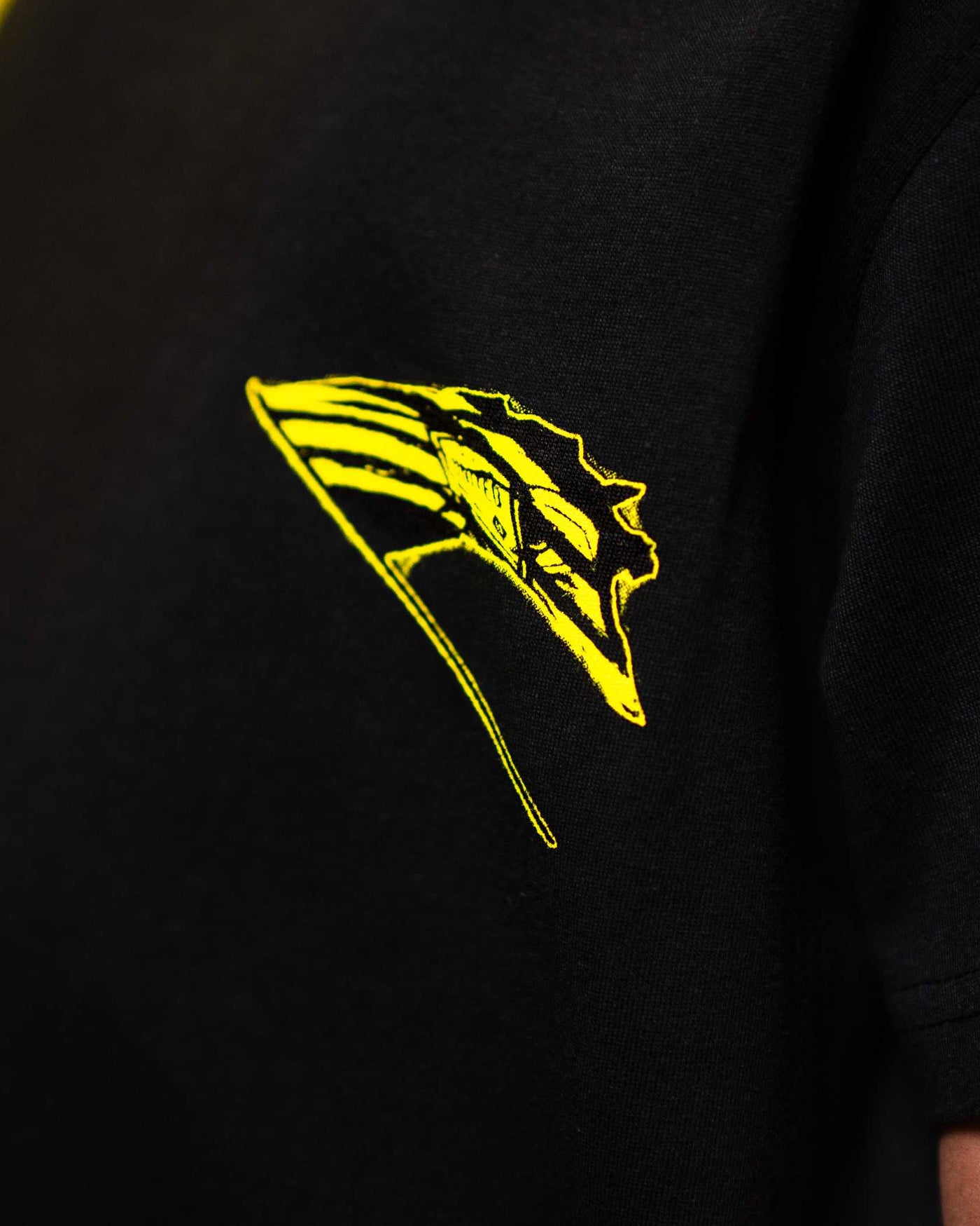 Youth Rally Flag Tee