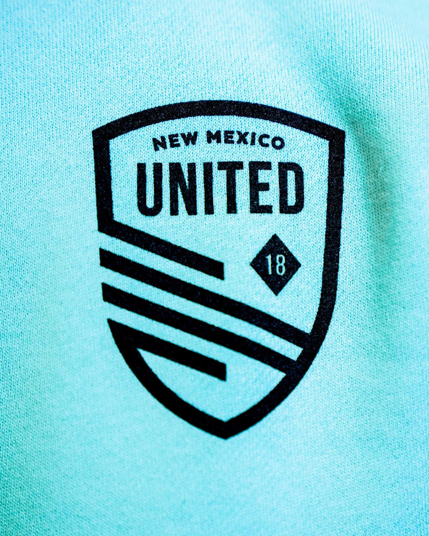 Youth Turquoise Shield Hoodie