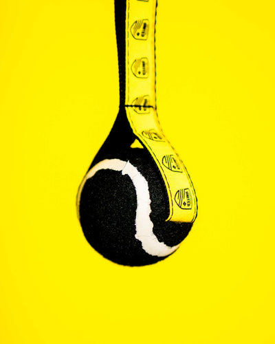 NMU Tennis Ball Toy