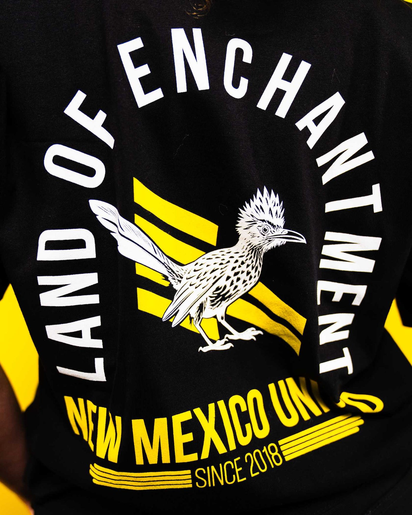 Oversized Road Runner Pocket Tee