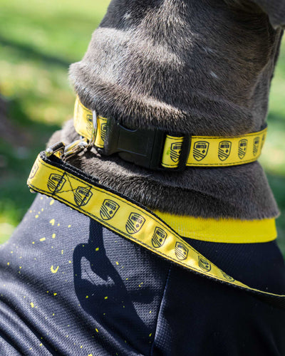 NMU Dog Collar