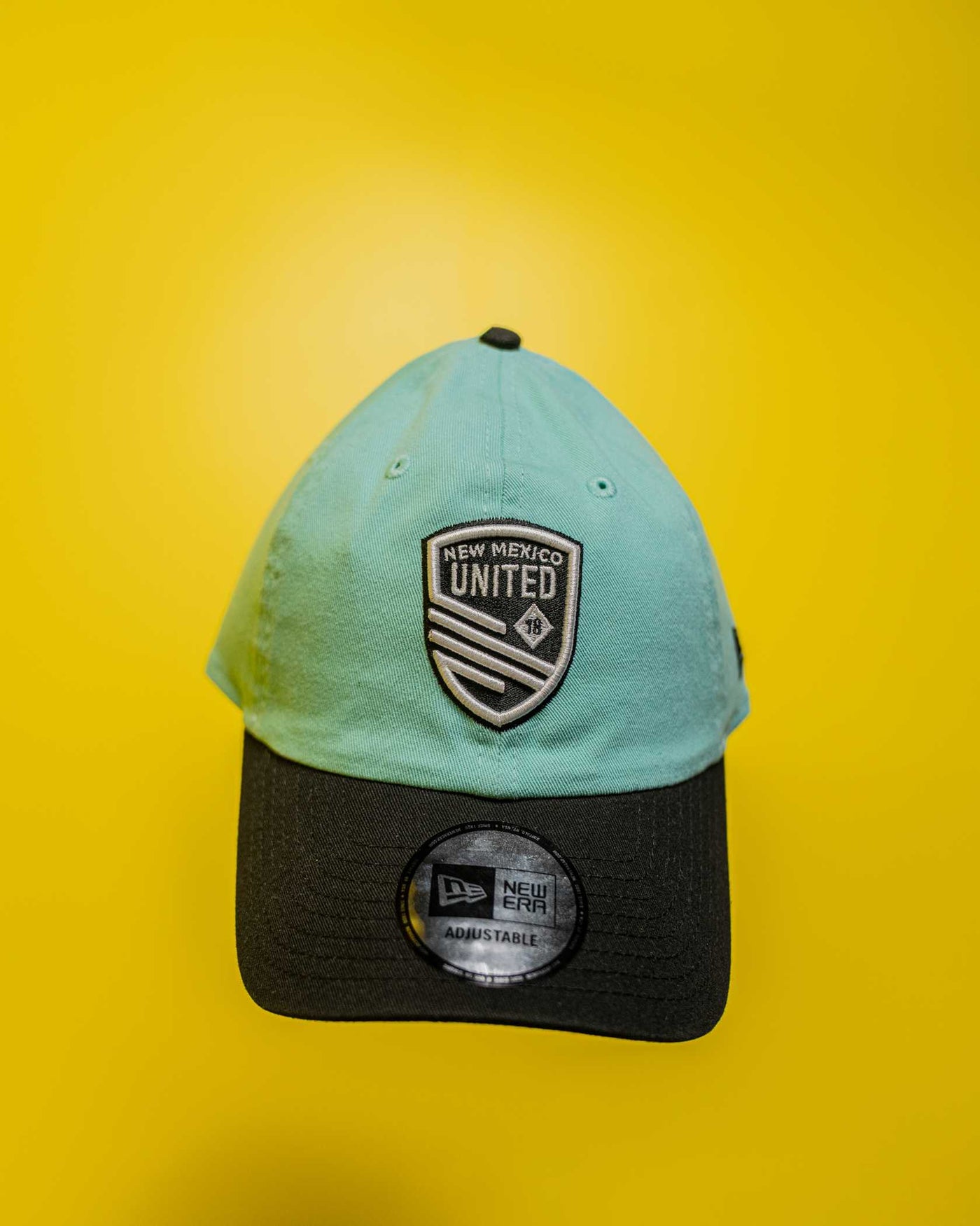All Turquoise NE Dad Hat